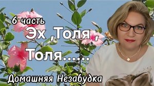 6 часть. Эх ,Толя ,Толя...