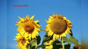 Медитация 00002