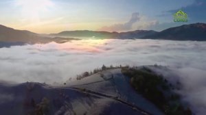 Стихи над миром. Стихотворения Зинаиды Миркиной