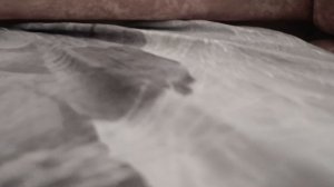 короче говоря апокалипсис.