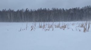 Рыбалка в метель