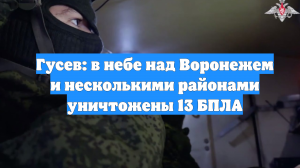 Гусев: в небе над Воронежем и несколькими районами уничтожены 13 БПЛА