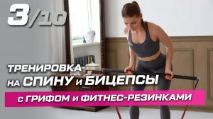 Тренировка №3: спина и бицепсы с резинкой и грифом