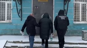 Пенсионерка зарезала собственного сына в Ленобласти