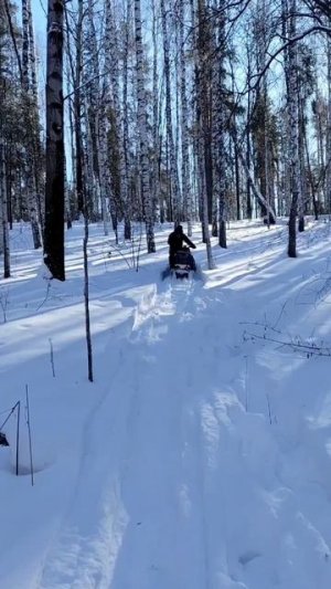 Irbis SF-200 SL&L. Взрываем пухляк  23 февраля