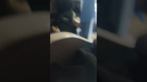 играем в прятки с моими ассистентами