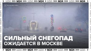 Сильный снегопад ожидается в Москве в ночь на 24 февраля - Москва 24