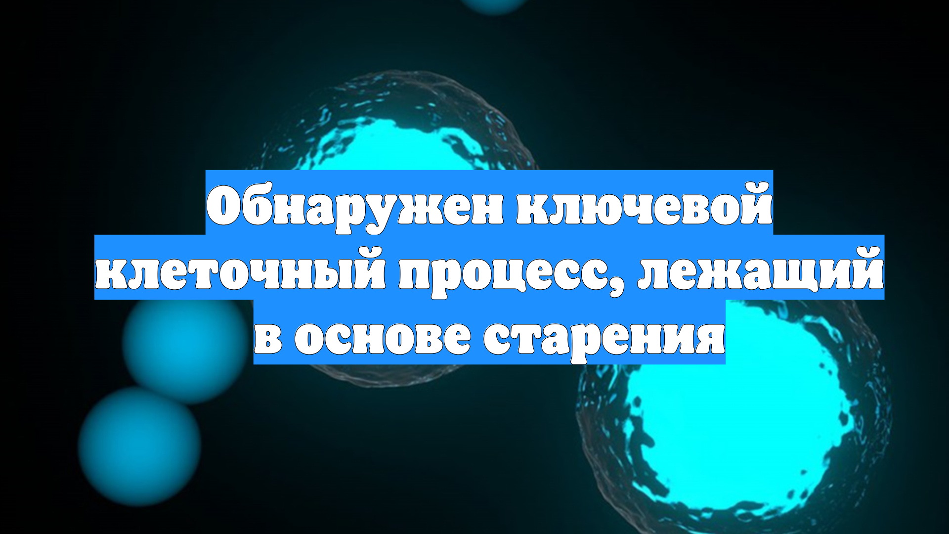 Обнаружен ключевой клеточный процесс, лежащий в основе старения смотреть онлайн