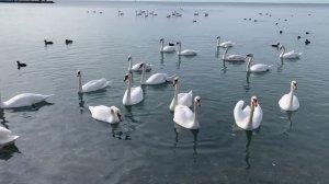 22.02.2026 Анапа море