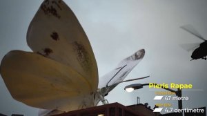 Если бы размер насекомых увеличился в 1000 раз| Сравнение воображаемых размеров насекомых