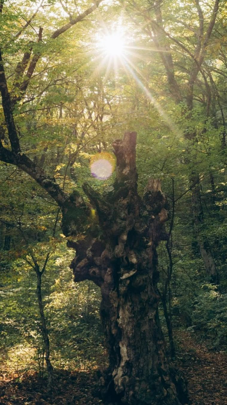 Экспресс-перезагрузка TRUE LOVE. 3 дня, которые меняют состояние.