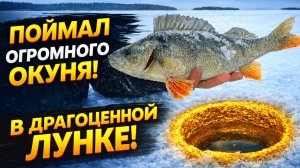 Вот это рыбалка! Нашел золотую лунку! В шоке от клева! Зимняя рыбалка на крупного окуня