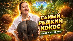 САМЫЙ РЕДКИЙ КОКОС | парк Валле-де-Мэй