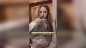 #смешныевидео -1035