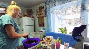 В деревне.Опять переборщила,Рассадила Петунью