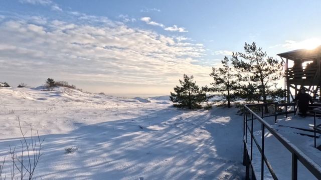 Высота Эфа. Куршская коса. Калининградская область.