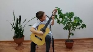 Логинов Андрей. Ф.Молино  "Романс"