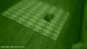 Шоколадка собирает кубики