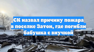 СК назвал причину пожара в поселке Затон, где погибли бабушка с внучкой