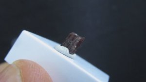 Пейнит купить