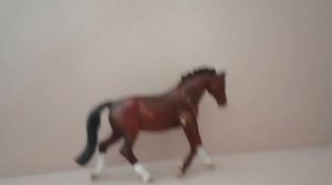 Обзор на Новых Лошадей