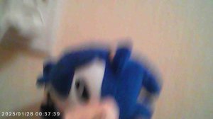 Соник кайфует