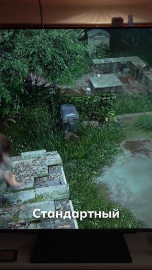 LG QNED93, что получаете за 130 тысяч?