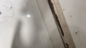 Решетка радиатора Фольксваген пассат б8 20054