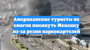 Американские туристы не смогли покинуть Мексику из-за резни наркокартелей