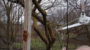 петля Глиссона