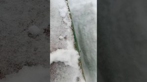 23 февраля. Зимовка пчел.