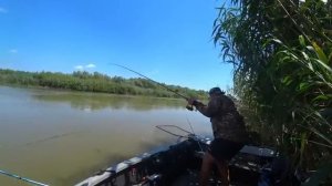 В ЭТОЙ ЯМЕ РЫБЫ МНОГО. ЖОР СОМА НА САРАНЧУ. Рыбалка на сазана. Ловля на жмых.