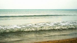 МОРЕ, ДУМЫ и ДЕВУШКА с КОРЯГОЙ // Лирическая морская зарисовка, Анапа, 22 февраля 2026 г.