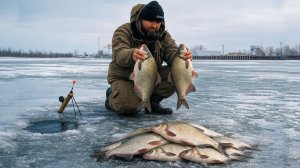 В ЭТОЙ ЛУНКЕ КУЧА КРУПНОЙ РЫБЫ! ЗИМНИЙ ЖОР ЛЕЩА И КРУПНОЙ ГУСТЕРЫ!