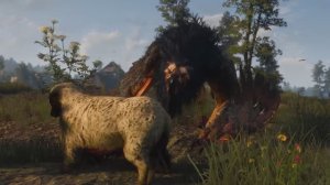 The Witcher 3: Wild Hunt (2)