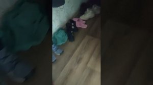 прячем игрушки с моими ассистентами