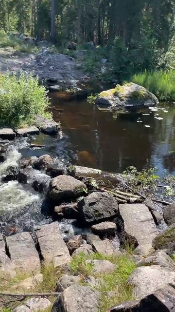 Ржавые реки Ленинградской области смотреть онлайн