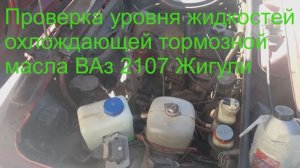 Какой должен быть уровень масла, антифриза, тормозной жидкости  Ваз 2101- 2107?