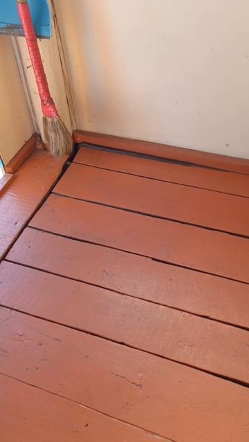 Это гадюка? Змея проникла в мой дом в Бурятии.