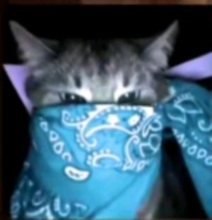 прохожу майнкрафт