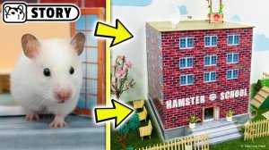 Школьный лабиринт с хомяком 🏫 Приключения ученика Хомуры в школе 🏫 Хомяк Хомура