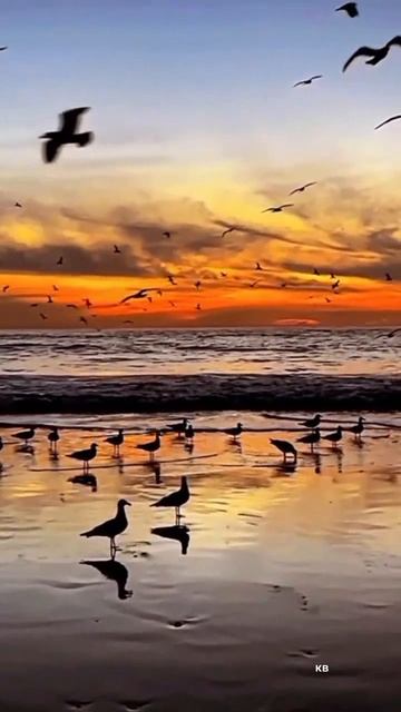 #katyboro #видео #рекомендации #врек #топ #рутуб смотреть онлайн