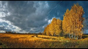 Осенний печальный мотив