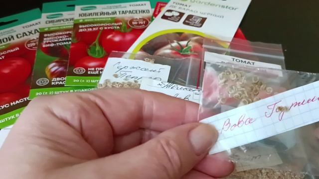Сорта томатов, которые буду выращивать в предстоящем сезоне 2026. Сроки посева семян смотреть онлайн