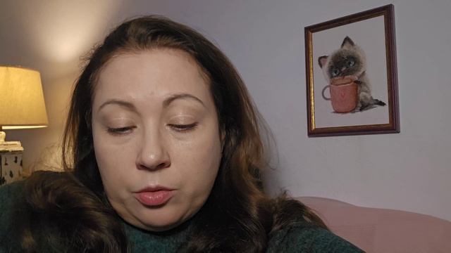 24-02-2026 Квартира готова! // Чуть на улице не остались // Где его мама? смотреть онлайн