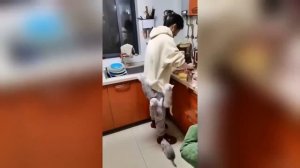 Лучшая подборка приколов. часть 3 - Досмотри и подпишись!)