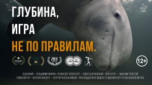 Глубина — Игра не по правилам | Документальный фильм о белухах Белого моря (4K)