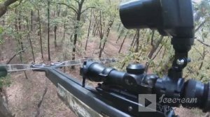 охота на КОСУЛЮ С АРБАЛЕТОМ.засел на дереве и выждал!