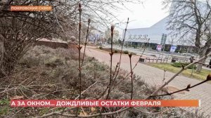 А за окном. 24 февраля 2026