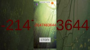 2026-02-04_11-55-01 предел приложение Timer.mp4